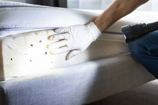 Best Pest Removal Services  in Fall River, WI