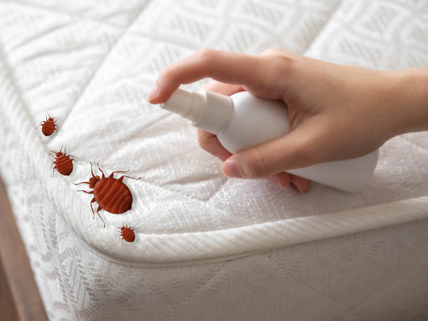 Best Bed Bug Extermination  in Fall River, WI