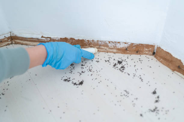 Pest Control for Restaurants in Fall River, WI