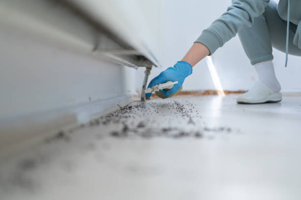 Best Commercial Pest Control Services  in Fall River, WI